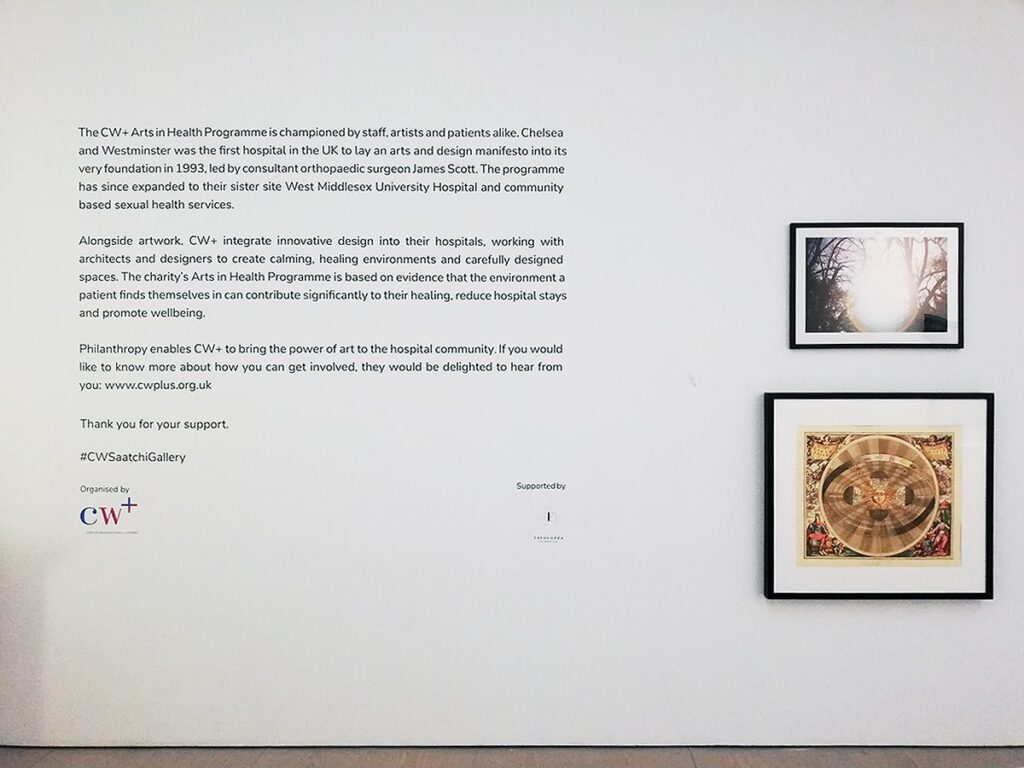 Exhibition description applied to wall - Saatchi Gallery