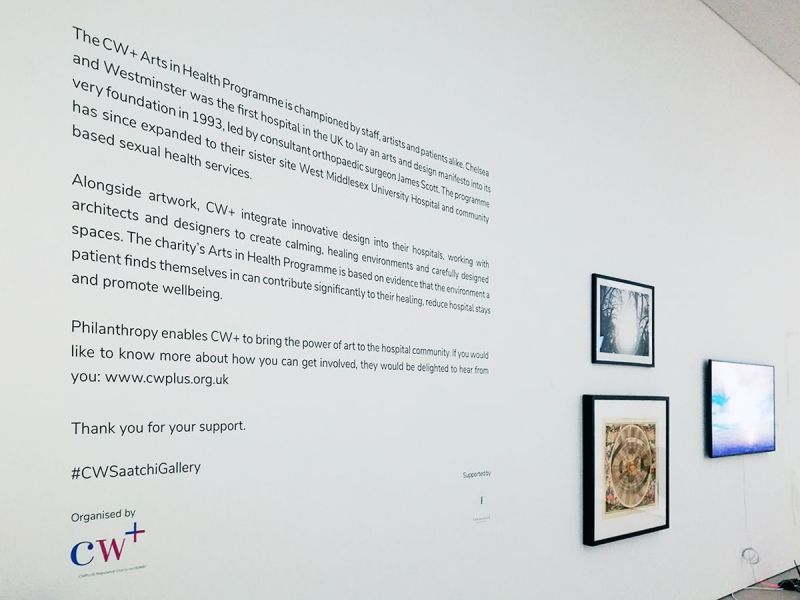 Exhibition description applied to wall - Saatchi Gallery