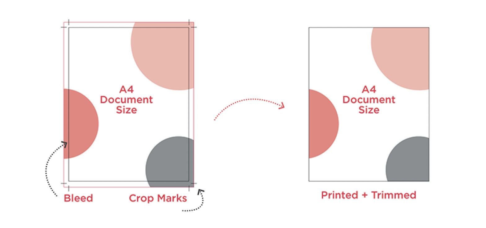 Include Bleed and Safe Zones